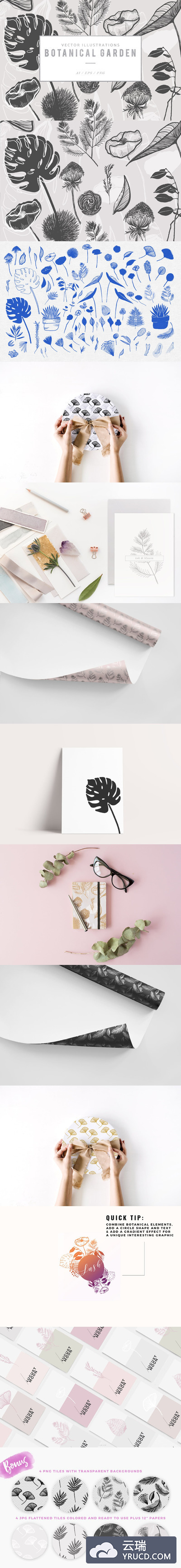 背景纹理 | 复古手绘植物园龟背竹金光菊花卉等矢量插图