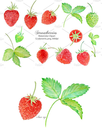 水彩草莓插画 Watercolor Clipart Strawberry