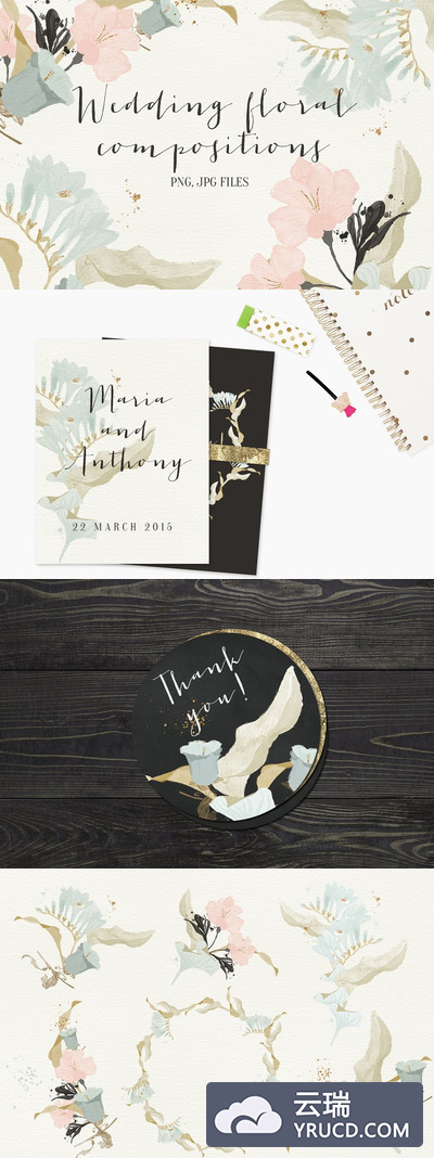 婚礼花卉插画 Wedding floral compositions