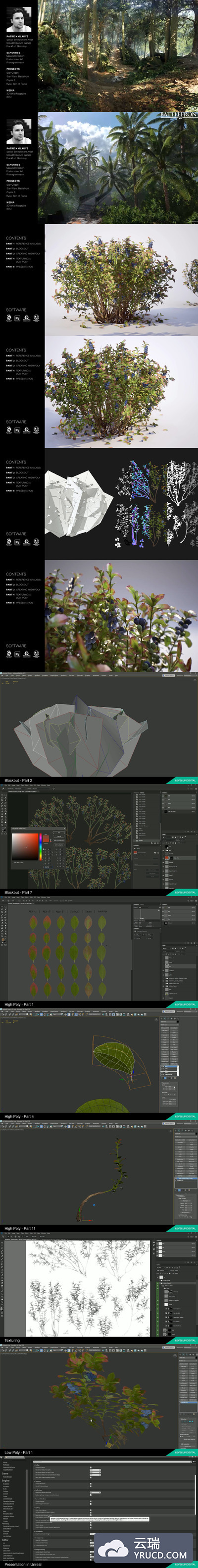 3DS MAX 创建游戏植被教程