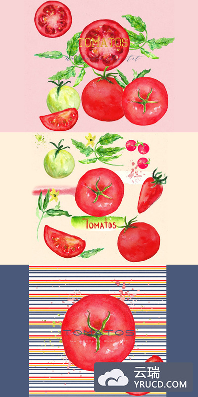 水彩番茄插画 Tomats. Watercolor Clipart.