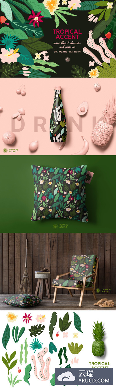 热带植物元素插画 Tropical Accent