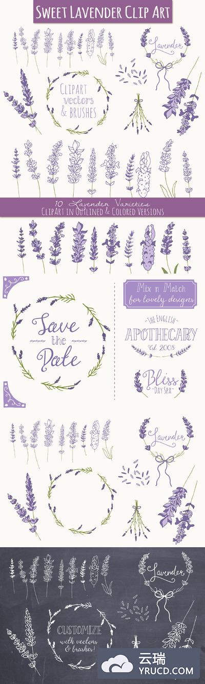 薰衣草矢量插画 Lavender Clip Art & Vectors