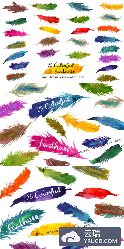 水彩羽毛元素插画 Colorful Feathers-Watercolor