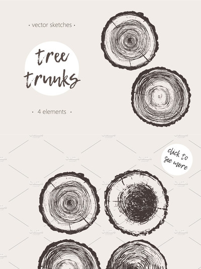 一套手绘年轮木纹插画 Set of hand drawn tree trunks
