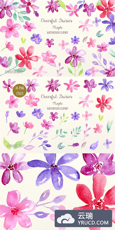 水彩花卉插画 Watercolor Cheerful Daisy Purple