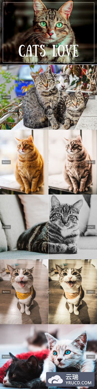 宠物猫咪Lightroom预设套装