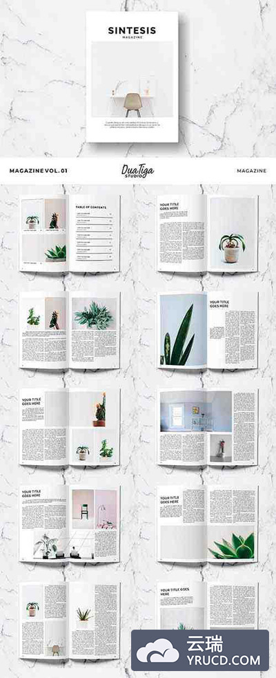 家居植物室内设计图册模板