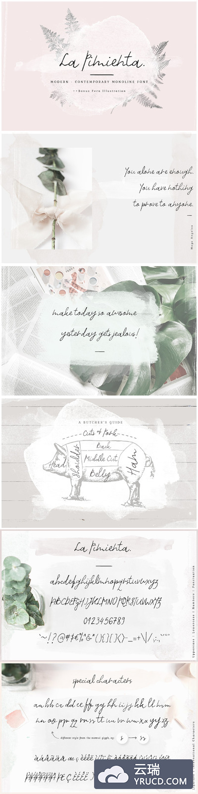 手写签名字体下载 La Pimienta.