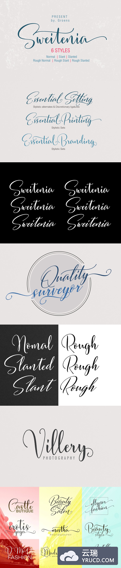 手写签名字体下载 Sweitenia 6 Styles