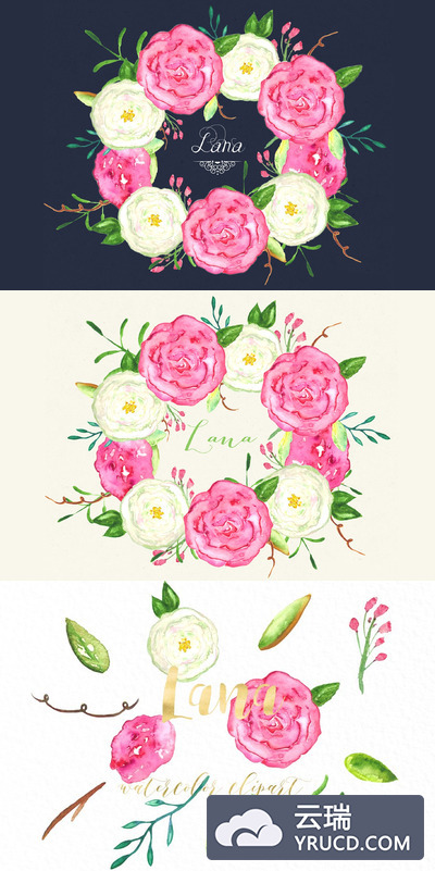 水彩玫瑰插画 Roses Lana watercolor flowers