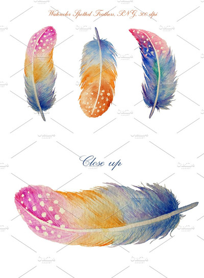 水彩羽毛插画 Watercolor Spotted Feathers Clipart