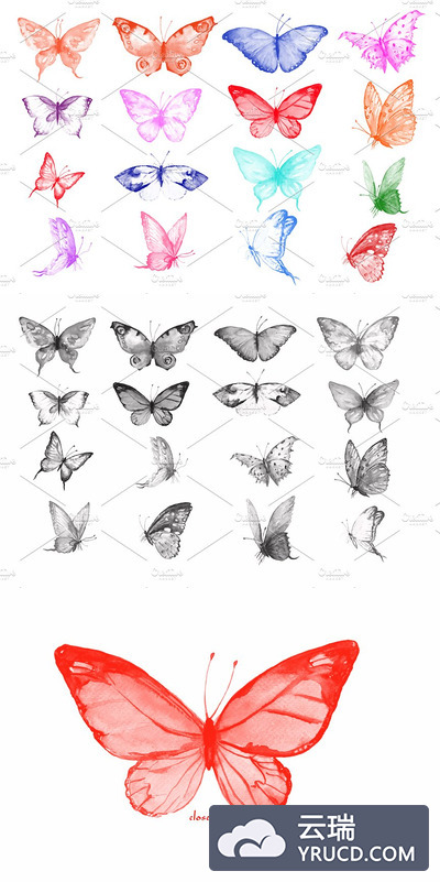 蝴蝶PS笔刷下载 Photoshop Brush Watercolor Butterfly