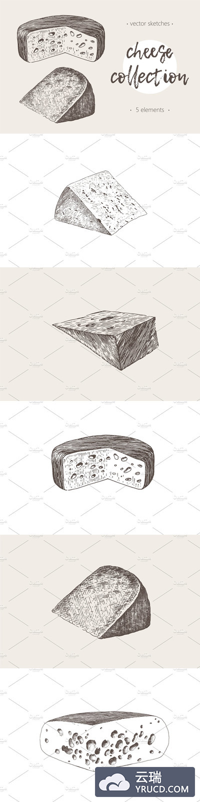 奶酪素描插画 Collection of cheese illustrations