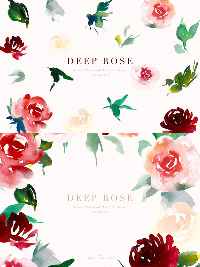 水彩深色玫瑰插画 Watercolour Flowers - Deep Rose
