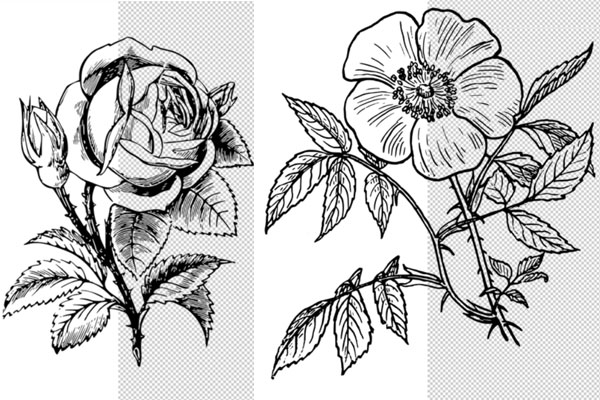 白色背景橡皮擦工具ps动作下载