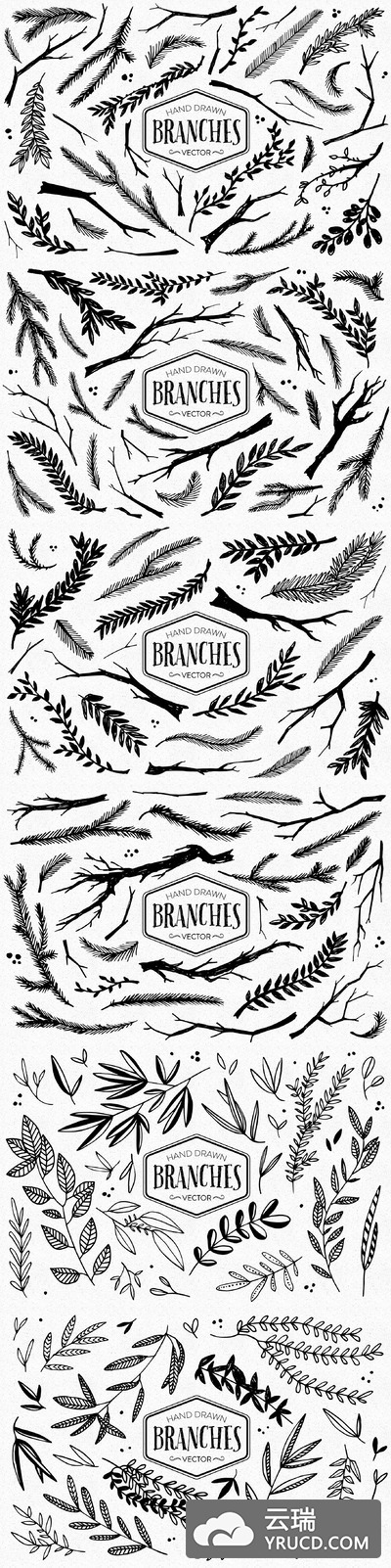 墨水植物插画 Inky Branches