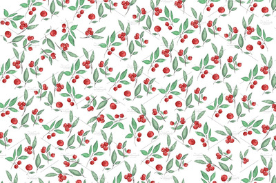 水彩浆果花卉插画 Watercolor berries and branches