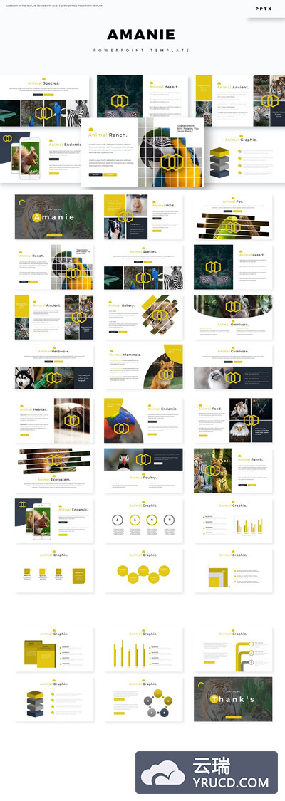 时尚高端多用途的高品质动物powerpoint幻灯片述职报告ppt演示模板（pptx）