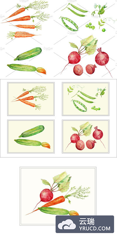 水彩蔬菜素材插画 Watercolor Vegetable Collection 1