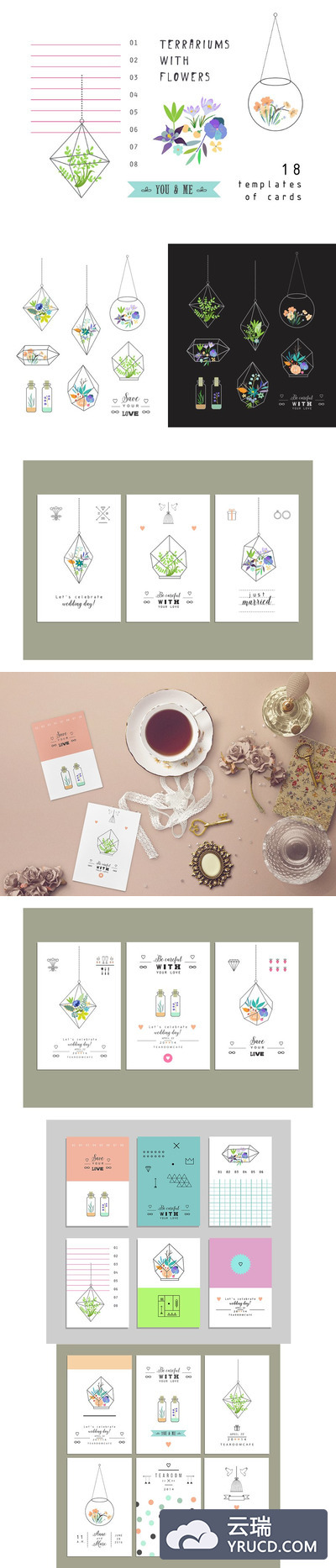 浪漫的花卉矢量插画 Terrariums+Flowers romantic set