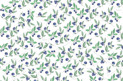 水彩越桔和树枝插画 Watercolor bilberries and branches