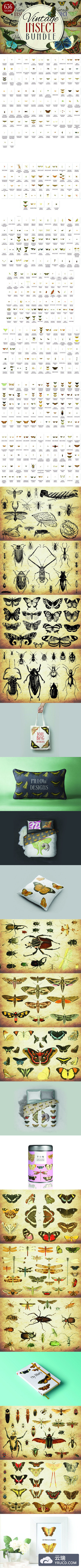 节肢动物昆虫矢量插画巨无霸合集