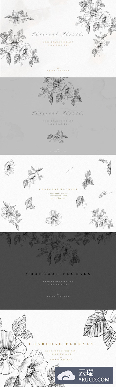 高端木炭花卉素材 Charcoal Florals