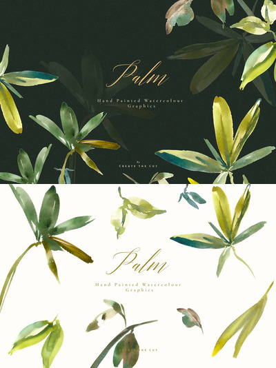 手绘绿叶元素插画 Hand Painted Clip Art - Palm