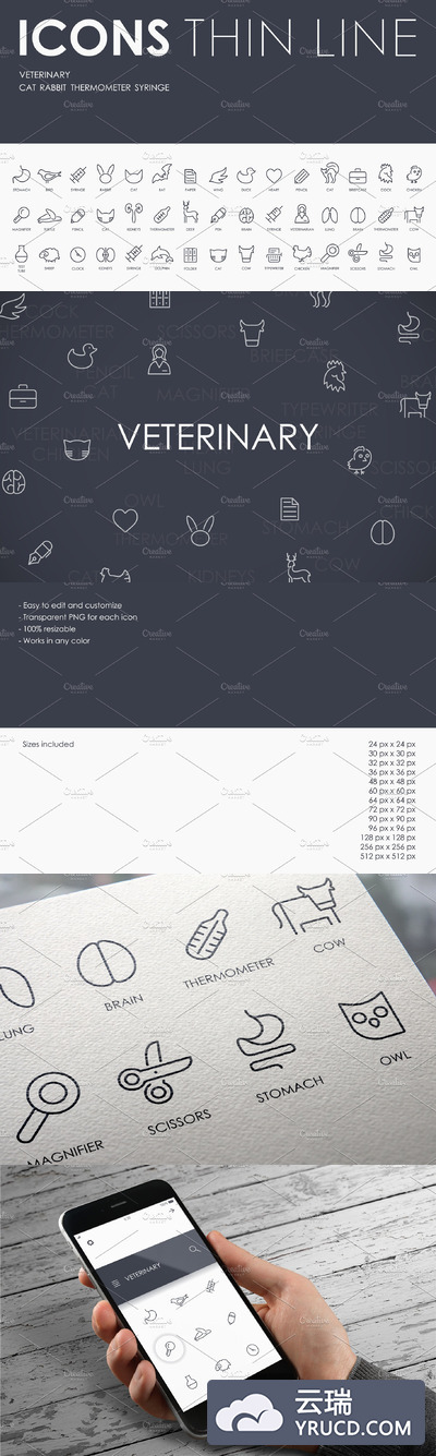 兽医矢量图标素材 Veterinary thinline icons