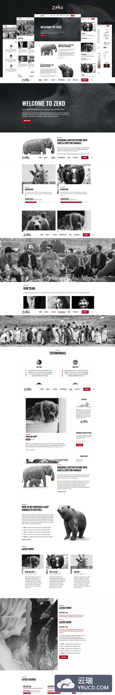 公益慈善主题网站模板 Charity WordPress Theme - Zeko