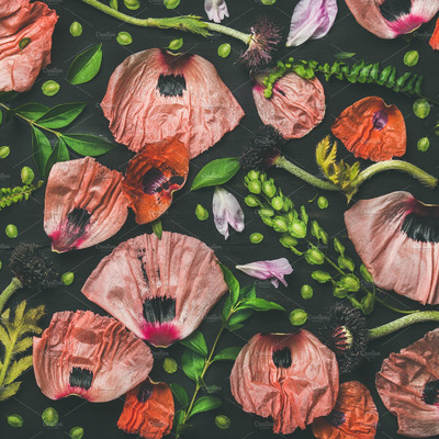 粉色红色花卉背景 Pink and red flower petals