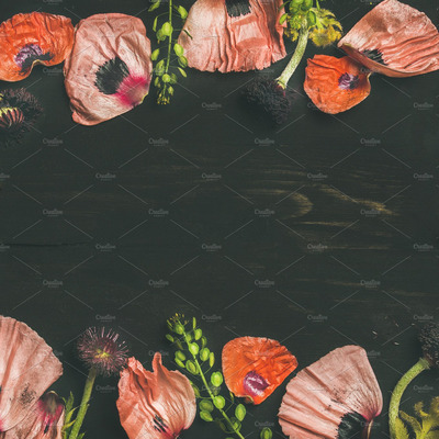 花卉图案背景纹理 Pink and red flower petals