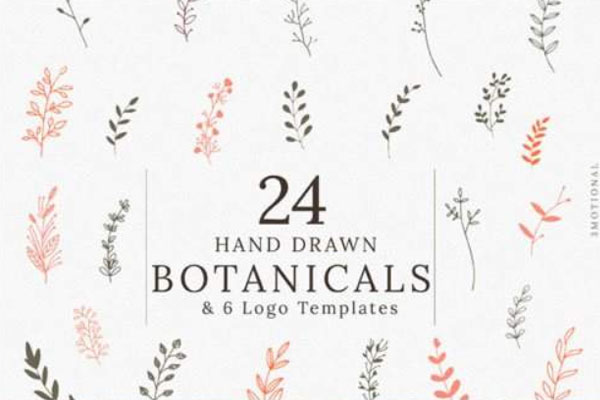 24款手绘植物叶子插画合集