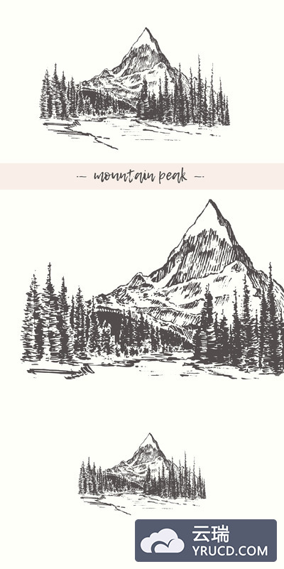 山林素描插画 Mountain peak with fir forest