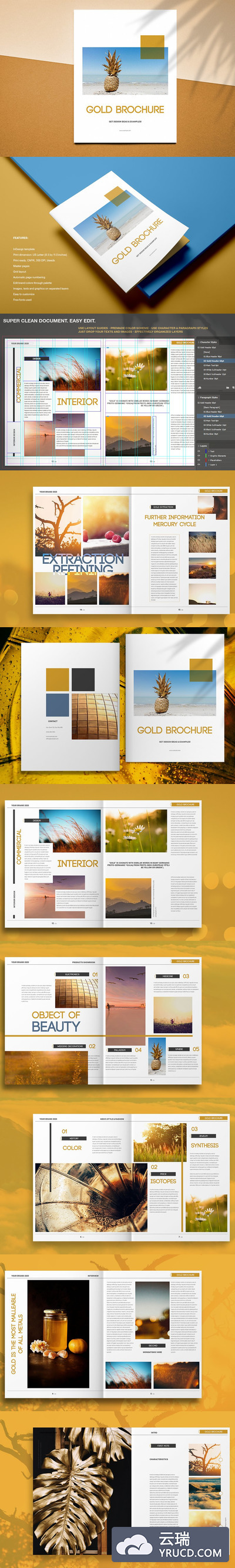 时尚金色主题企业宣传杂志画册设计