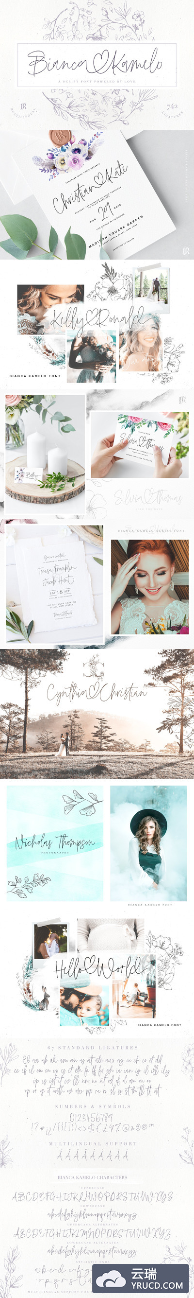 草书手写字体 Bianca Kamelo Font