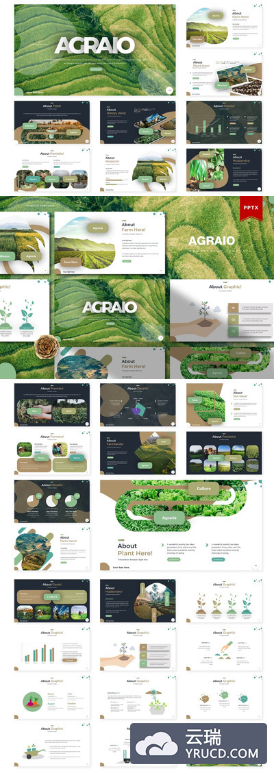 时尚高端简约健康绿色食品powerpoint幻灯片演示模板（pptx）