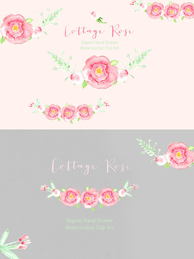 水彩玫瑰素材 Cottage Roses Watercolor clipart