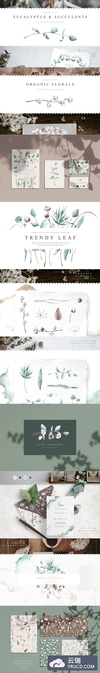 手绘花卉植物元素插画合集