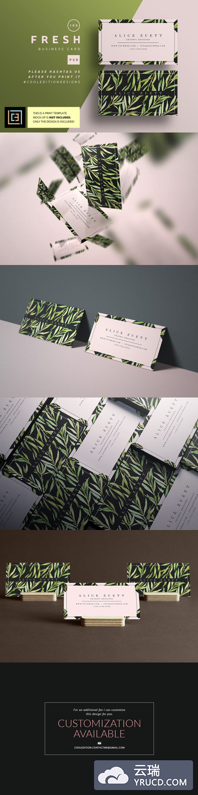 时尚花卉名片模板Fresh - Business Card 105