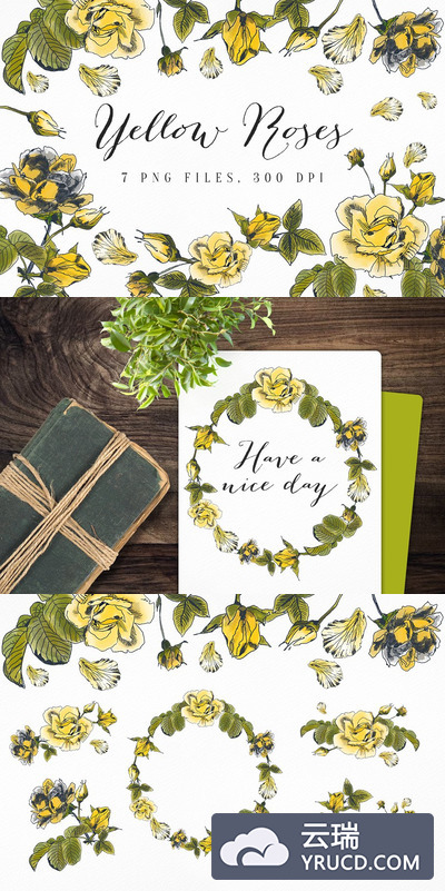 黄色花卉插画素材 Yellow Roses