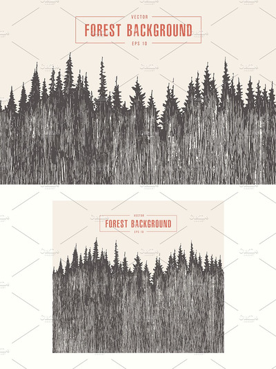 松林素描插画 Pine forest background