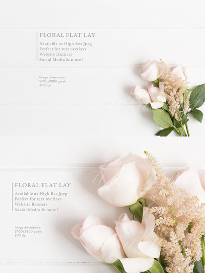 花卉样机模型 Floral flatlay stock photo - roses