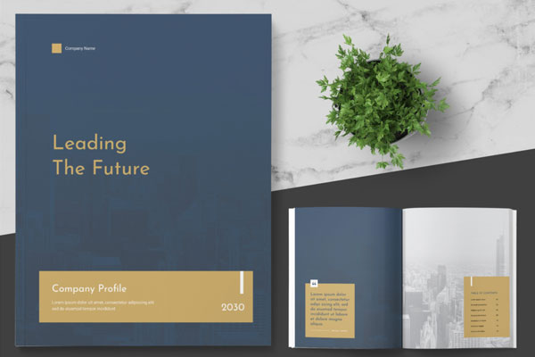 金色&深青色高端时尚的企业杂志画册设计