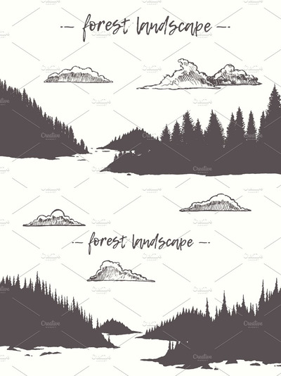 有湖泊和森林的景观 Landscapes with a lake and forest