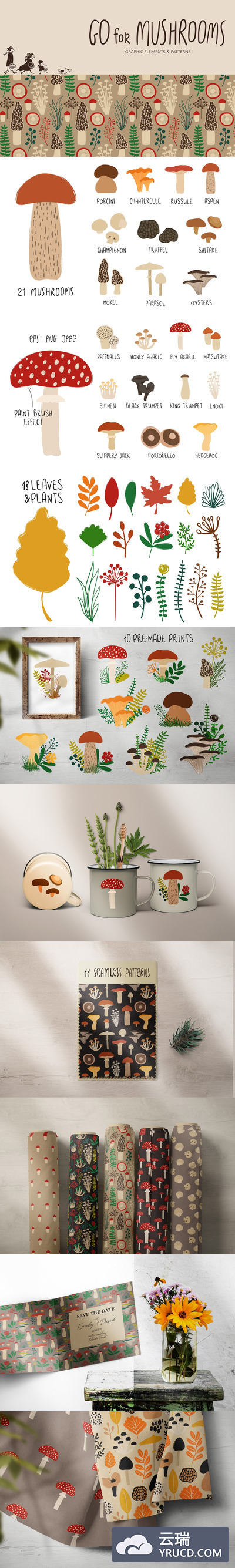 免费，各种各样的矢量蘑菇矢量插画素材下载[EPS]