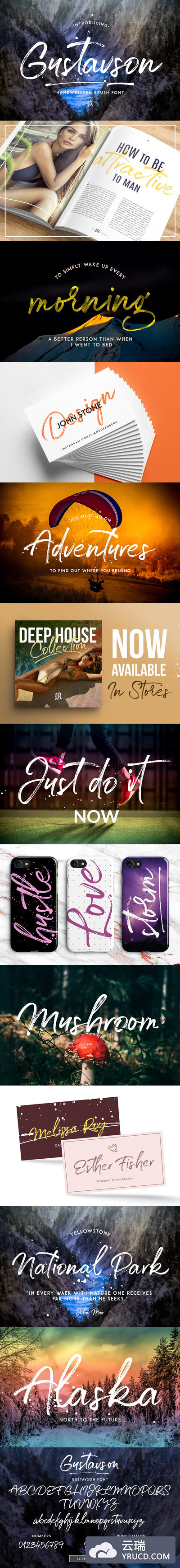 手写书法字体 Gustavson - Script Font