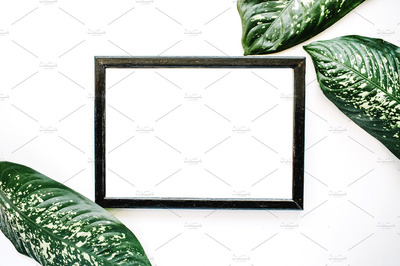 绿叶画框样机 Photo frame