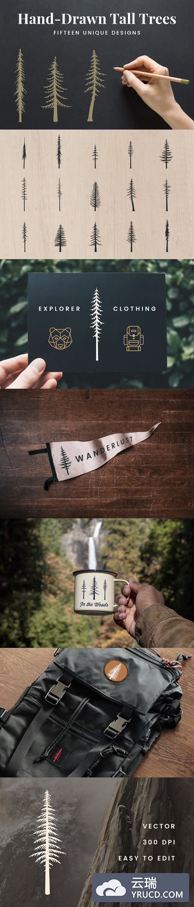 手绘树木矢量插画 Hand-Drawn Tall Trees